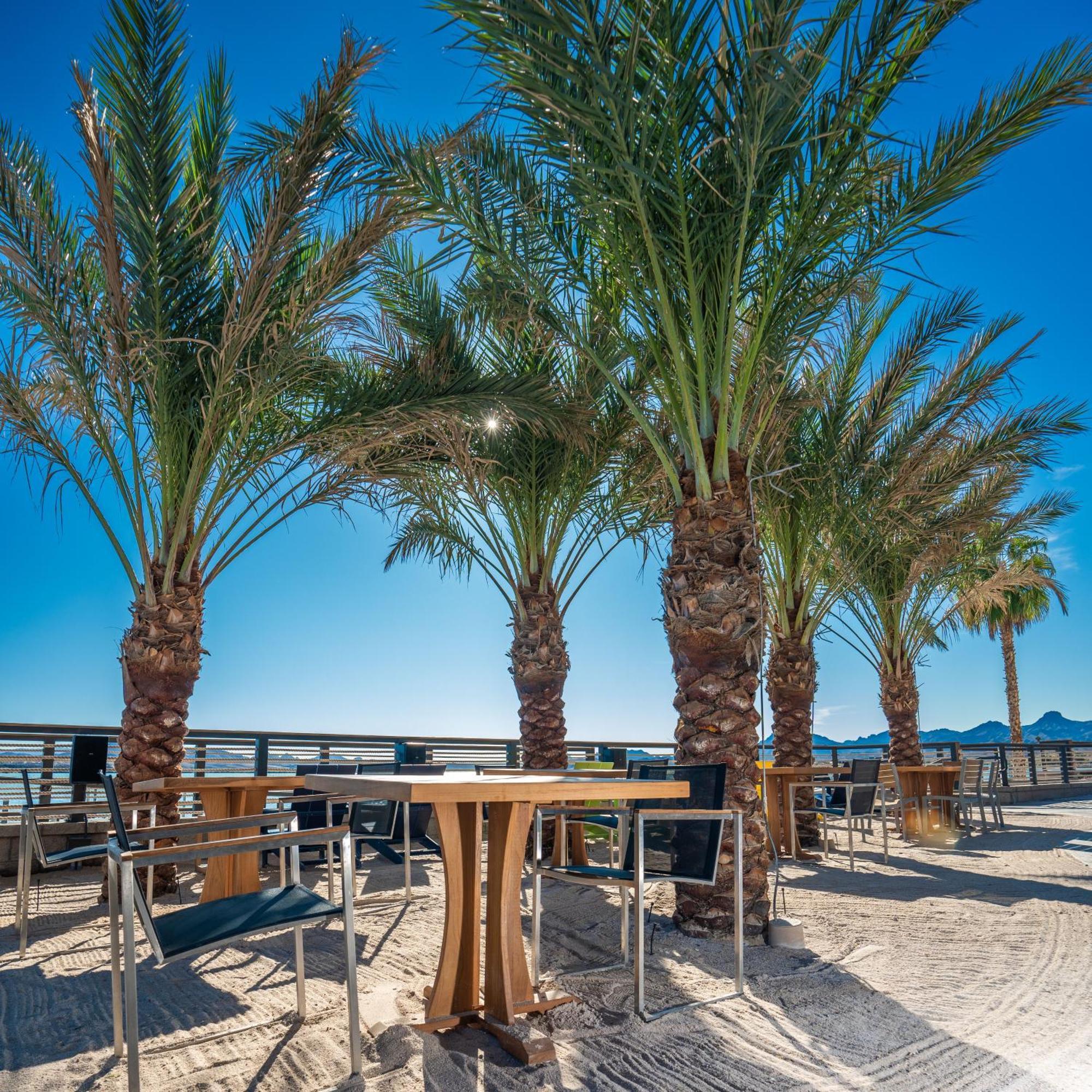 The Nautical Beachfront Resort Lake Havasu City Extérieur photo