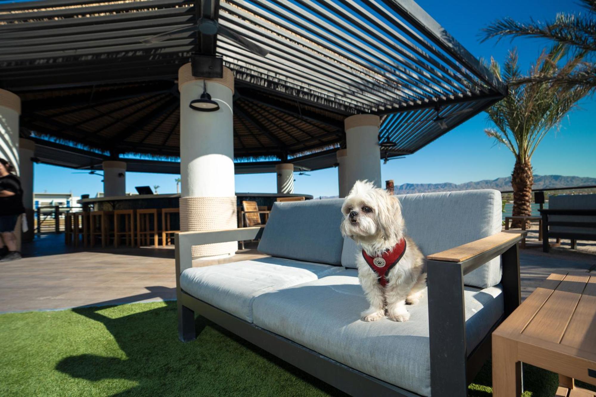 The Nautical Beachfront Resort Lake Havasu City Extérieur photo